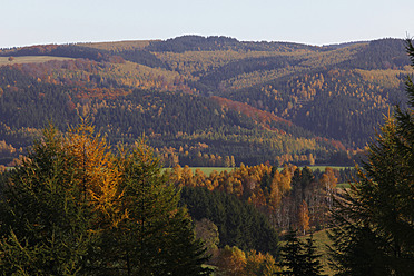 Deutschland, Sachsen, Ansicht einer Landschaft mit Herbstbäumen - JTF000132