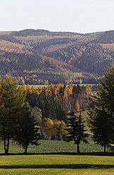 Deutschland, Sachsen, Ansicht einer Landschaft mit Herbstbäumen - JTF000133