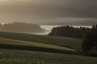 Gremany, Sachsen, Blick auf eine Herbstlandschaft mit Nebel - JTF000151