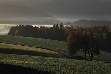 Gremany, Sachsen, Blick auf eine Herbstlandschaft mit Nebel - JTF000152