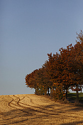 Deutschland, Sachsen, Blick auf ein landwirtschaftliches Feld im Herbst - JTF000153