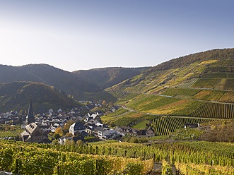 Deutschland, Rheinland Pfalz, Blick auf Weindorf mit Weinbergen im Ahrtal - BSCF000178