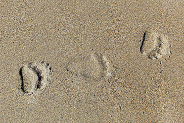USA, Alaska, Bear tracks on sand at Lake Clark National Park and Preserve - FOF004297
