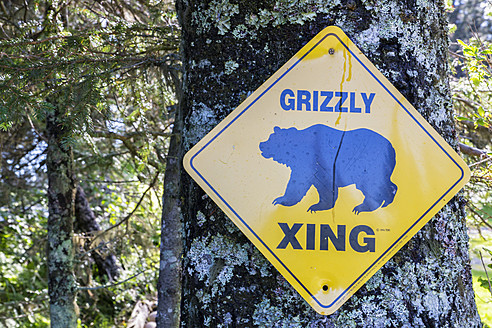 USA, Alaska, Grizzly Xing Schild am Baumstamm im Lake Clark National Park and Preserve - FOF004295