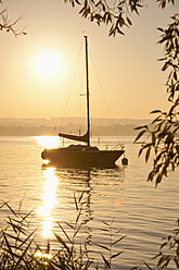 Deutschland, Bayern, Segelboot auf dem Ammersee, Schilf im Vordergrund - UMF000522