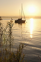 Deutschland, Bayern, Segelboot auf dem Ammersee, Schilf im Vordergrund - UMF000526