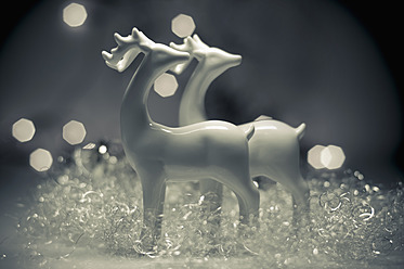 Christmas decoration with deer, close up - MJF000165