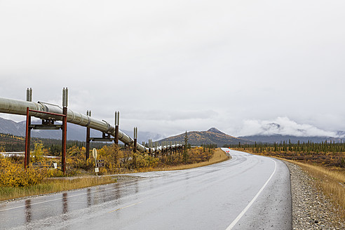 USA, Alaska, Blick auf das Trans-Alaska-Pipelinesystem entlang des Dalton Highway im Herbst - FO004381