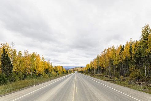 USA, Alaska, Blick auf den Dalton Highway im Herbst - FOF004390