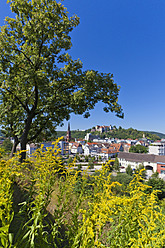 Deutschland, Baden Württemberg, Ansicht von Schloss Hellenstein in Heidenheim an der Brenz - WDF001310