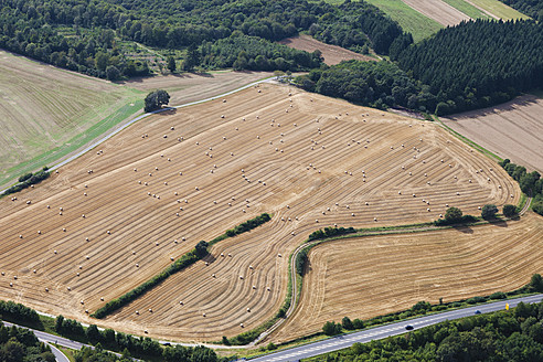 Europa, Deutschland, Rheinland-Pfalz, Blick auf Felder mit Strohrollen - CSF015905