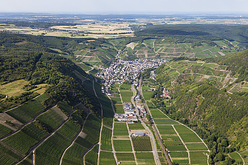 Europa, Deutschland, Rheinland-Pfalz, Blick auf den Weinberg bei Dernau - CSF015936