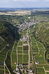 Europa, Deutschland, Rheinland-Pfalz, Blick auf den Weinberg bei Dernau - CSF015937