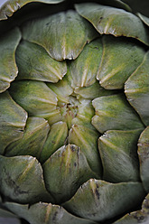 Close up of artichoke - AXF000353