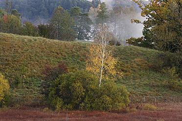 Deutschland, Bayern, Blick auf die Landschaft im Herbst - SIEF002901