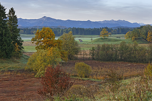 Deutschland, Bayern, Blick auf die Landschaft im Herbst - SIEF002900