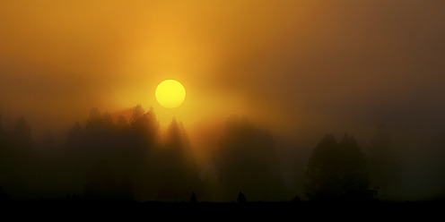 USA, Wyoming, View of Yellowstone National Park during sunrise - SMAF000023