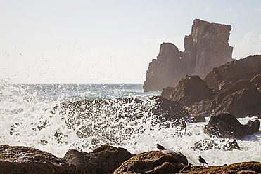 Portugal, Blick auf den Strand von Tonel - WVF000249