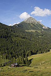 Österreich, Oberösterreich, Blick auf Ochsenwaldalm und Grober Pyhrgas - SIEF002961