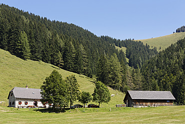 Österreich, Oberösterreich, Blick auf die Spitzenbergalm am Hengstpass - SIEF002954