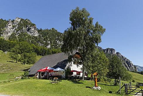 Österreich, Oberösterreich, Blick auf die Puglalm am Hengstpass - SIEF002953