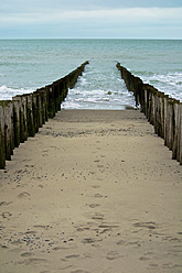 Netherlands, Zeeland, View of North Sea Beach with wood pillar - MHF000009