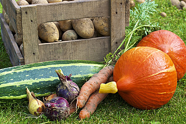 Germany, Hesse, Harvest of potatoes, zucchini, onion, carrots and pumpkin - MHF000003