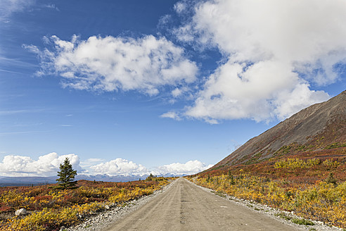 USA, Alaska, Blick auf den Denali Highway im Herbst - FOF004405