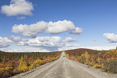 USA, Alaska, Blick auf den Denali Highway im Herbst - FOF004407