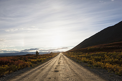 USA, Alaska, Blick auf den Denali Highway im Herbst - FOF004408