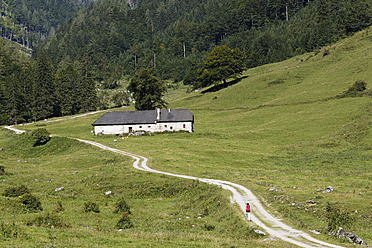 Österreich, Oberösterreich, Blick auf den Nationalpark Kalkalpen - SIEF003028