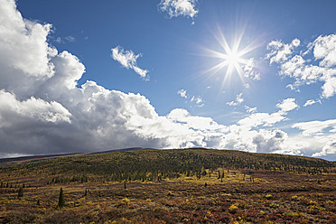 USA, Alaska, Landschaft entlang des Denali Highway im Herbst mit Alaska Range - FOF004409