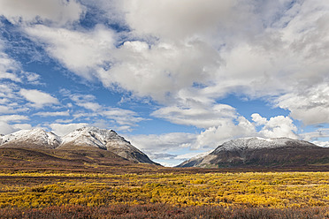 USA, Alaska, Landschaft entlang des Denali Highway im Herbst mit Alaska Range - FOF004416