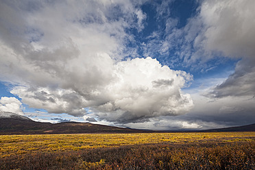 USA, Alaska, Landschaft entlang des Denali Highway im Herbst mit Alaska Range - FOF004418