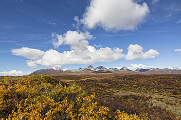 USA, Alaska, Landschaft entlang des Denali Highway im Herbst mit Alaska Range - FOF004422