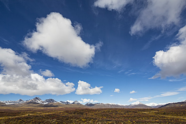 USA, Alaska, Landschaft entlang des Denali Highway im Herbst mit Alaska Range - FOF004423