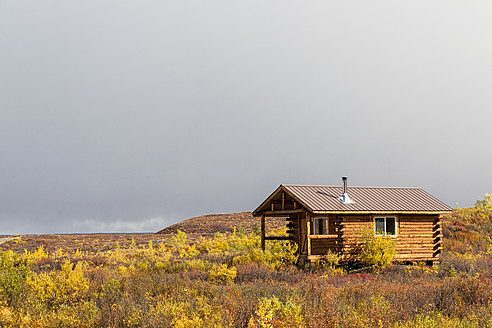 USA, Alaska, Landschaft entlang des Denali Highway im Herbst mit Alaska Range - FOF004427