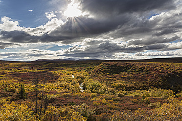 USA, Alaska, Landschaft entlang des Denali Highway im Herbst mit Alaska Range - FOF004429