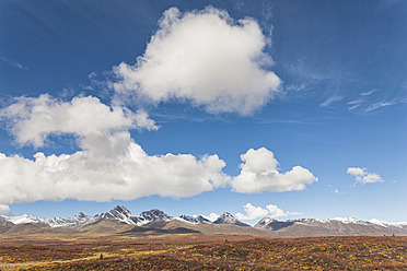 USA, Alaska, Landschaft entlang des Denali Highway im Herbst mit Alaska Range - FOF004430