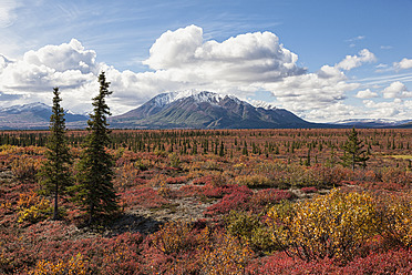 USA, Alaska, Landschaft entlang des Denali Highway im Herbst mit Alaska Range - FOF004432
