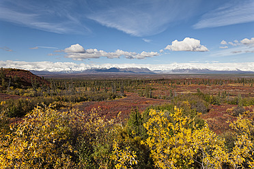 USA, Alaska, Landschaft entlang des Denali Highway im Herbst mit Alaska Range - FOF004434