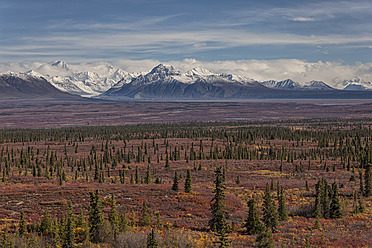 USA, Alaska, Landschaft entlang des Denali Highway im Herbst mit Alaska Range - FOF004436