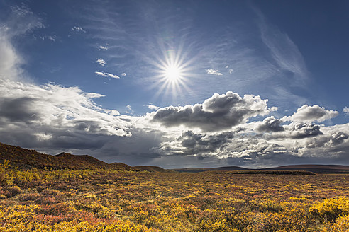 USA, Alaska, Landschaft entlang des Denali Highway im Herbst mit Alaska Range - FOF004437