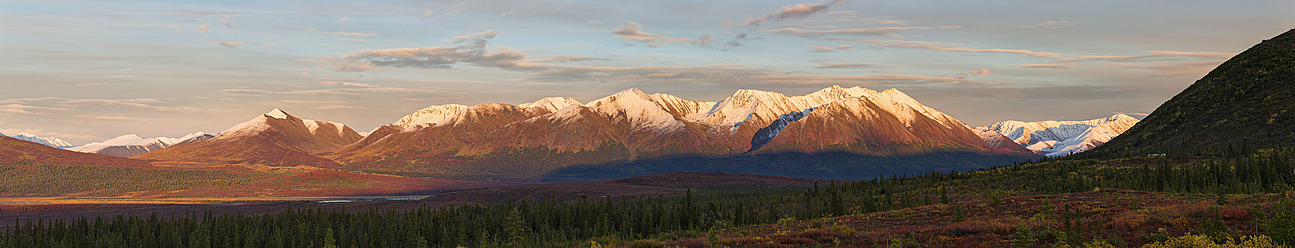 USA, Alaska, Blick auf Landschaft mit Alaska Range im Herbst - FOF004441