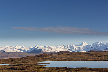 USA, Alaska, Blick auf eine Landschaft im Herbst, Alaska Range im Hintergrund - FOF004458