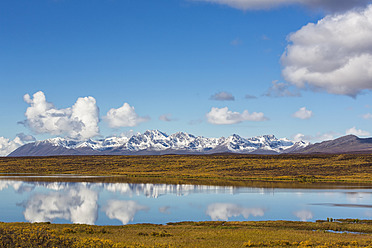 USA, Alaska, Blick auf eine Landschaft im Herbst, Alaska Range im Hintergrund - FOF004460