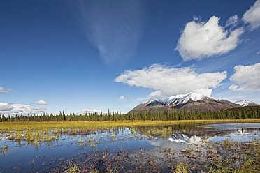 USA, Alaska, Blick auf eine Landschaft im Herbst, Alaska Range im Hintergrund - FOF004461