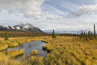 USA, Alaska, Blick auf eine Landschaft im Herbst, Alaska Range im Hintergrund - FOF004467