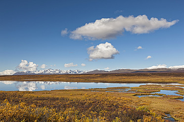 USA, Alaska, Blick auf eine Landschaft im Herbst, Alaska Range im Hintergrund - FOF004470