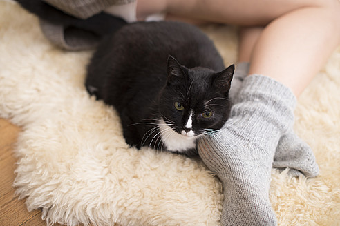 Young woman with cat lying on carpet - VRF000106